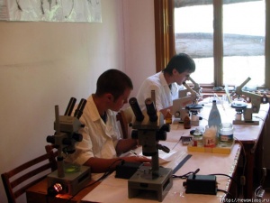 �������� �� ��� �������������� � ��������� �����