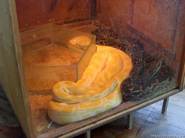  " "  .           " "   ""