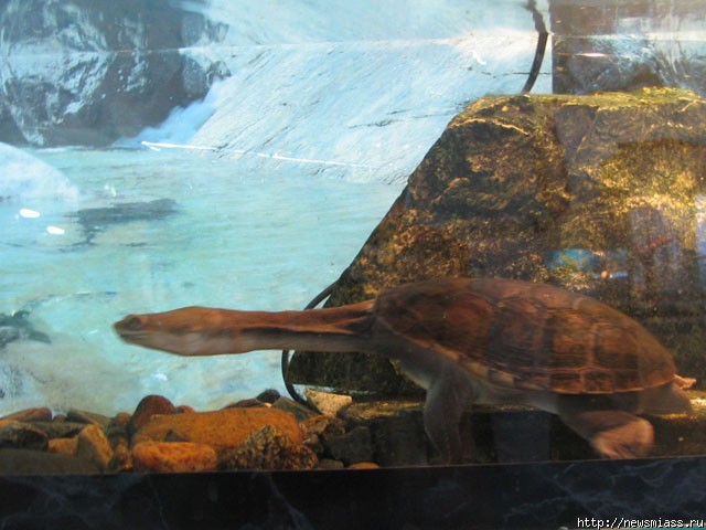  " "  .           " "   ""