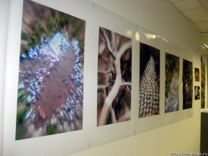 ���� "��������"