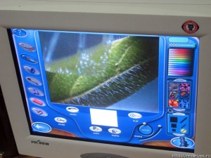 ���� �������� ������ � ����� ��� ������ � ���