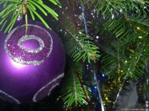 ����� ������������ ������ ���������