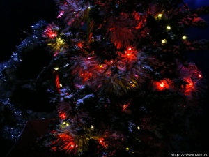 ����� 2010-� ������ ����� ���������