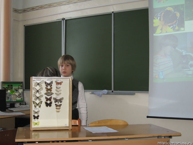      .       6 -      15- 