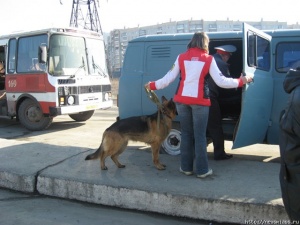 ������� ��� ������ ������ ����������