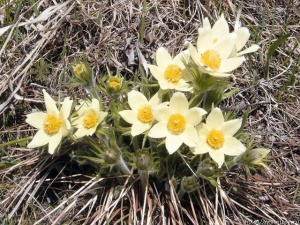 �� ����� ���������� ��������