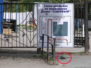 ����� �� ����� "��������"