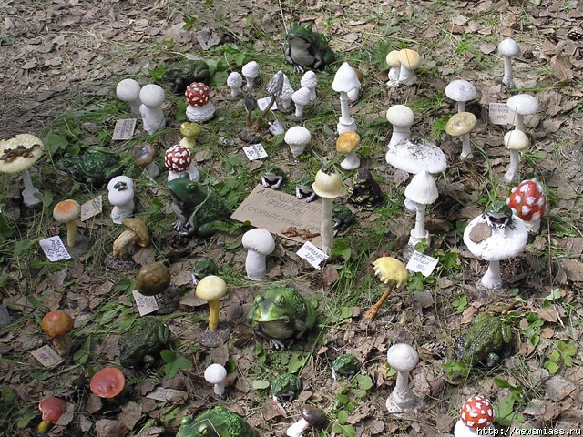 XVIII ��������� ���������: ���� ��������, ������ ����������. ��������� ������ ��������� ���������, ��������� ����, �������� ����� ����������, ������-������, ����������� �������� � �������������� ����������� - �� ��� ��������� ���������