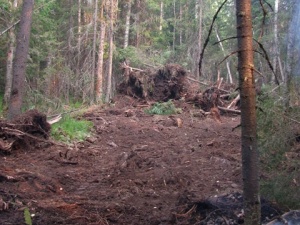 ������ ������ �������� ���������� ��������� � �������