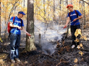 ������� � �������� ���� �����