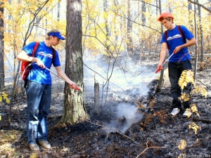 ������� � �������� ���� �����