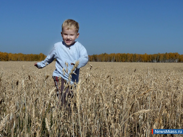 "��� ��� - �� �����������". ���������� ������ "������� ����, � ���� �������"