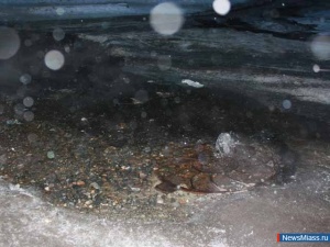 ������ ������