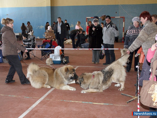   - 2011.   "  - 2011"      ""