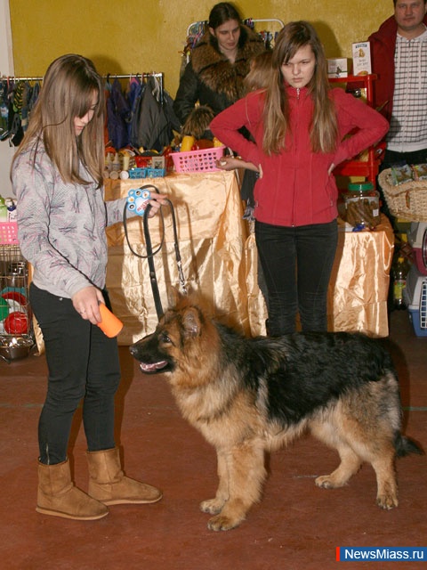   - 2011.   "  - 2011"      ""