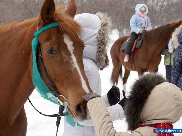 ������ ������������ ���������!. ���������� ��� � �������� ������ ������ � ���������� � ��������� ���� ���������