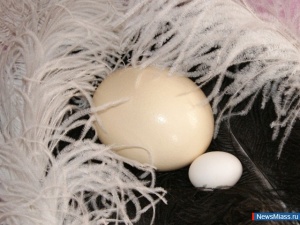 ������� ������� � �����