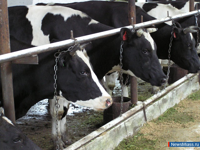 ����� ��� ��� 400 ������� �������. ���������� ��������� ����� � ������������� ����� ����� �������� ������������ ������ � ���� "����������"