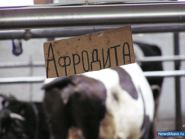    400  .             ""