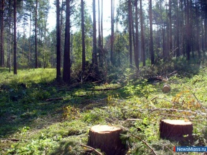 ��� ����� - ����� �����