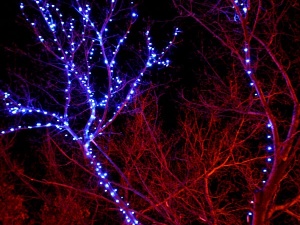 �������� ������