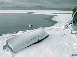 ������������ � ������� ������