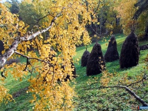 �� ��! ��� ���� ����������� �������