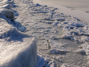 ������� ��������� ������ �����