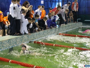 � ������ ��������