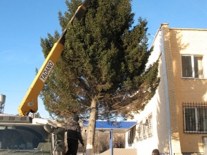 �������� � ��� ��������!..