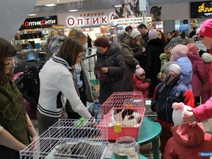 ��������� �������� ����� ������