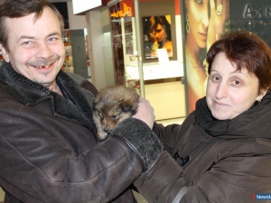 ��������� �������� ����� ������