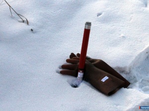 ������ 10 ���������