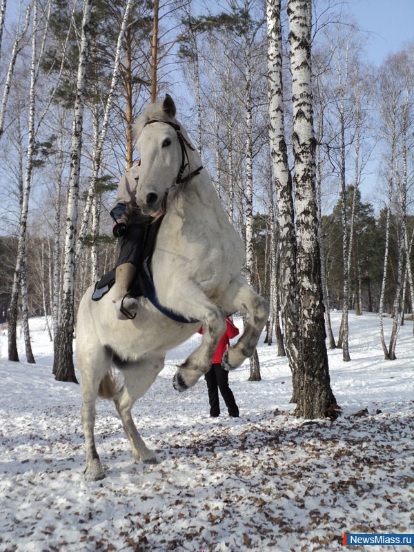   . " "           " "     -     