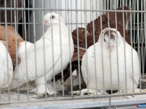 ������� ��������� ���� � ������