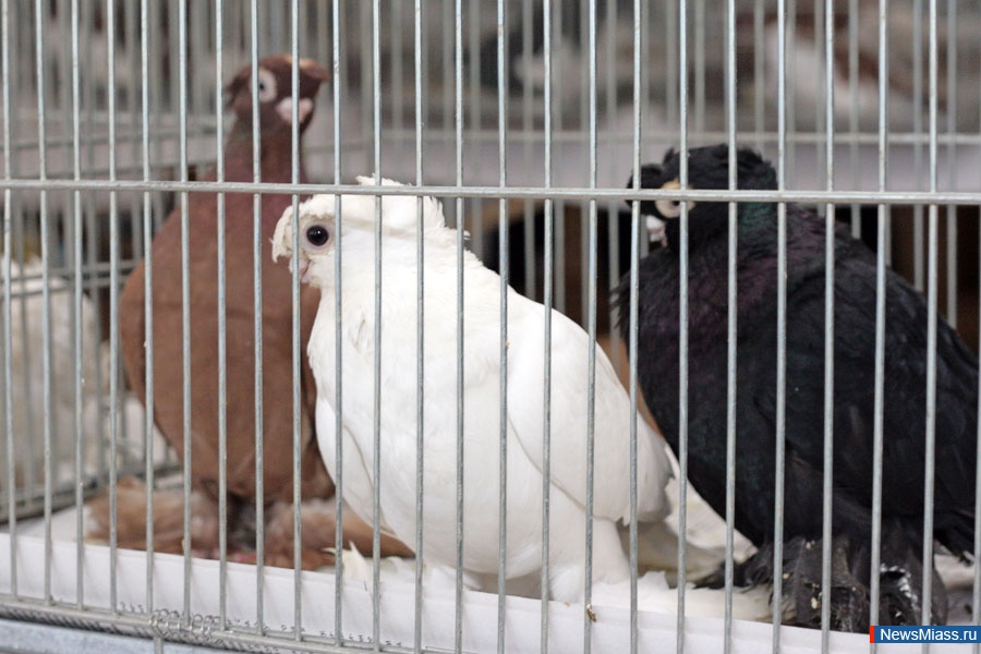 ������� ��������� ���� � ������. � �������� ������� �� ������ �������� "��������" ���������� �������� �������