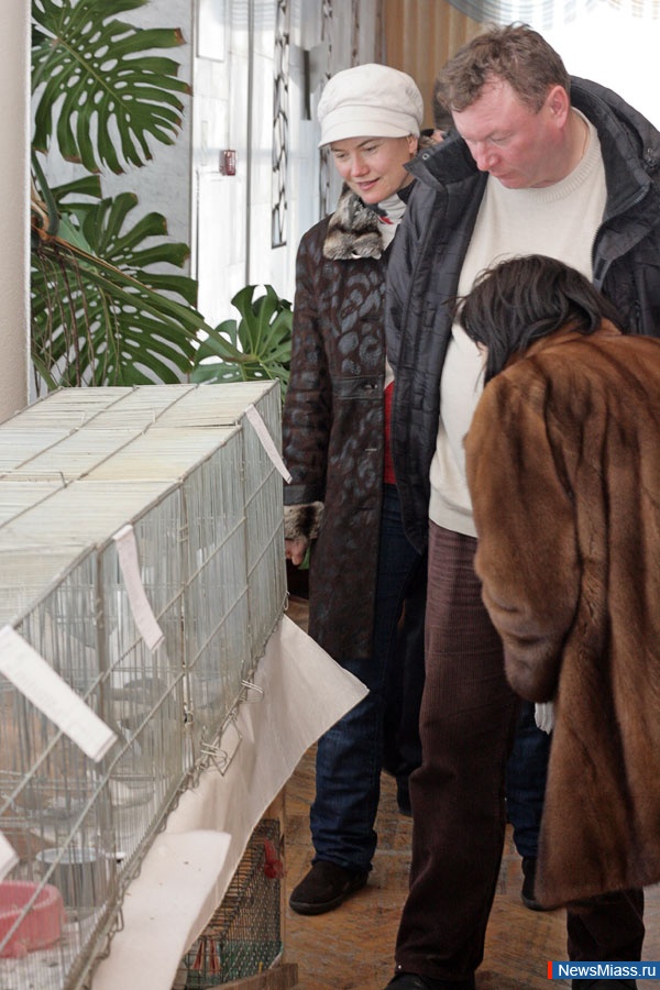 ������� ��������� ���� � ������. � �������� ������� �� ������ �������� "��������" ���������� �������� �������