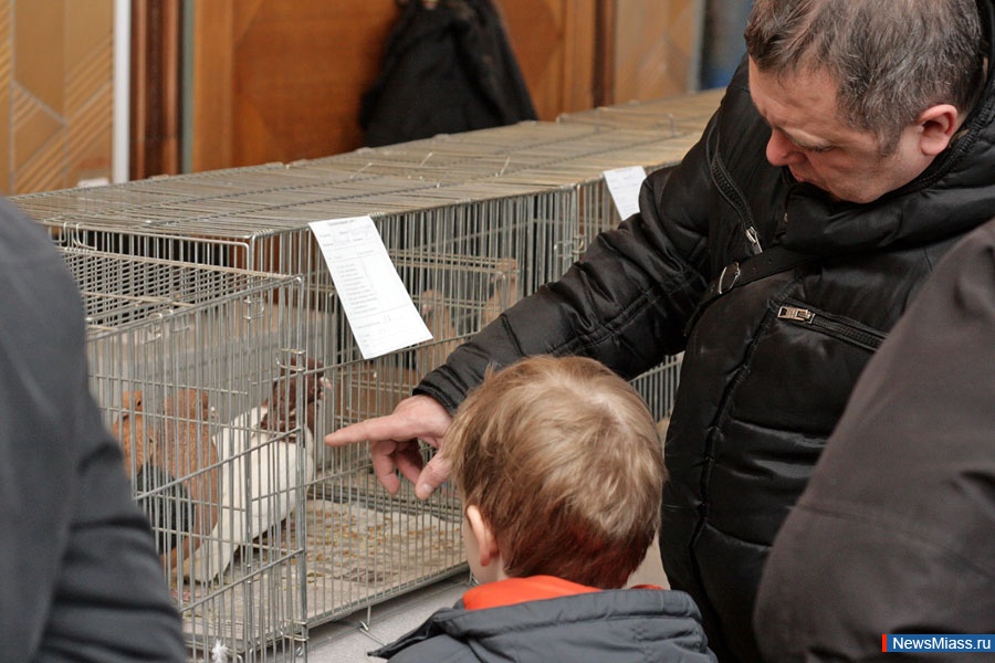 ������� ��������� ���� � ������. � �������� ������� �� ������ �������� "��������" ���������� �������� �������