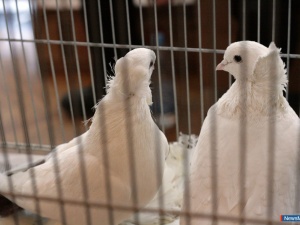 ������� ��������� ���� � ������