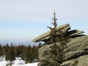 �������� ���������