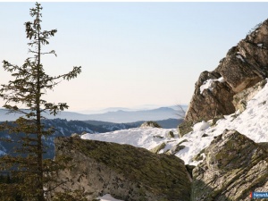 �������� ���������