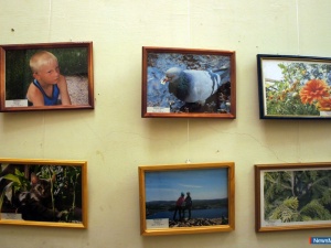 "����������" ��������