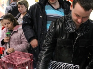 ������ ��������� �������� � ��������