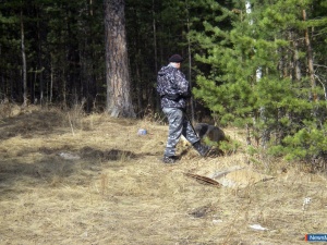 ������ �� ������