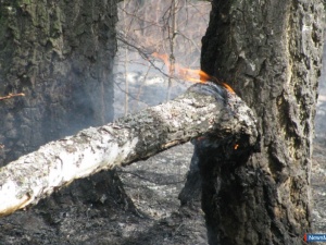 ����� ������������