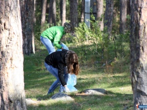 ������ �������� � ������ ����� ����