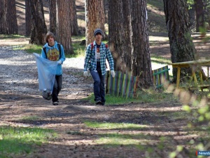 ������ �������� � ������ ����� ����