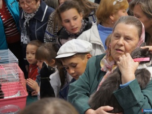 30 ����� ���������� ��������