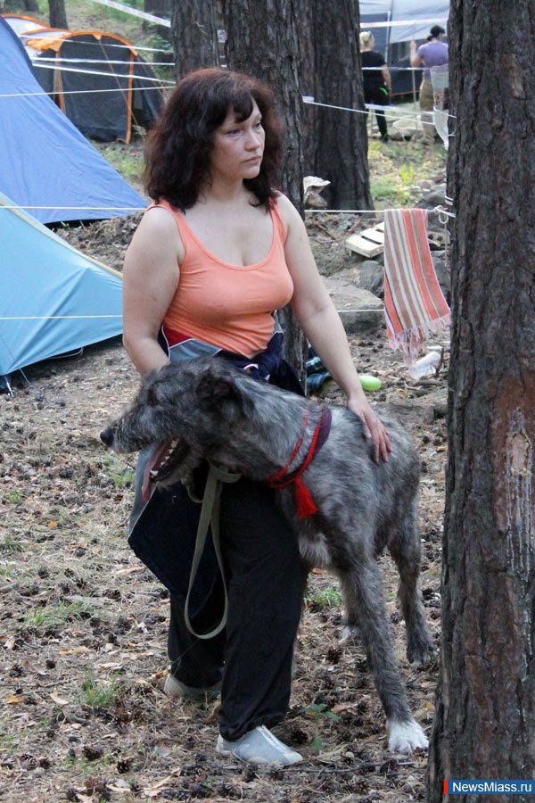 ...  ,  "" -  !.  36    