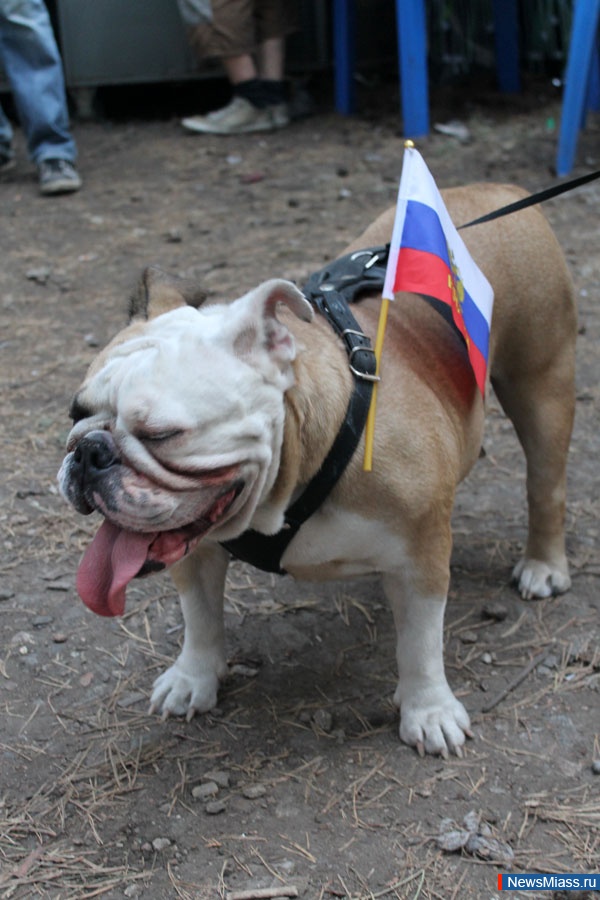 ...  ,  "" -  !.  36    